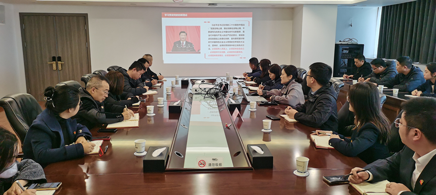 集團黨委委員、副總經(jīng)理賀維維同志講授專題黨課