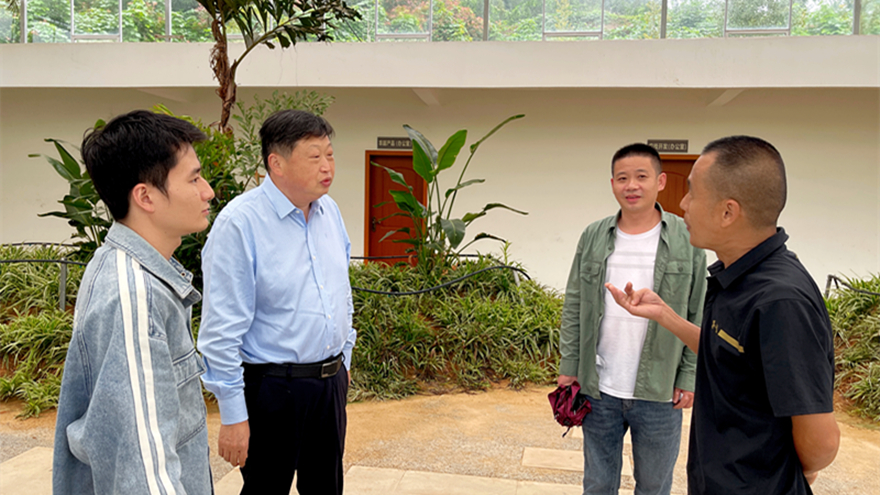 綿投集團黨委書記、董事長李桂炳調研鄉(xiāng)村振興駐村幫扶工作